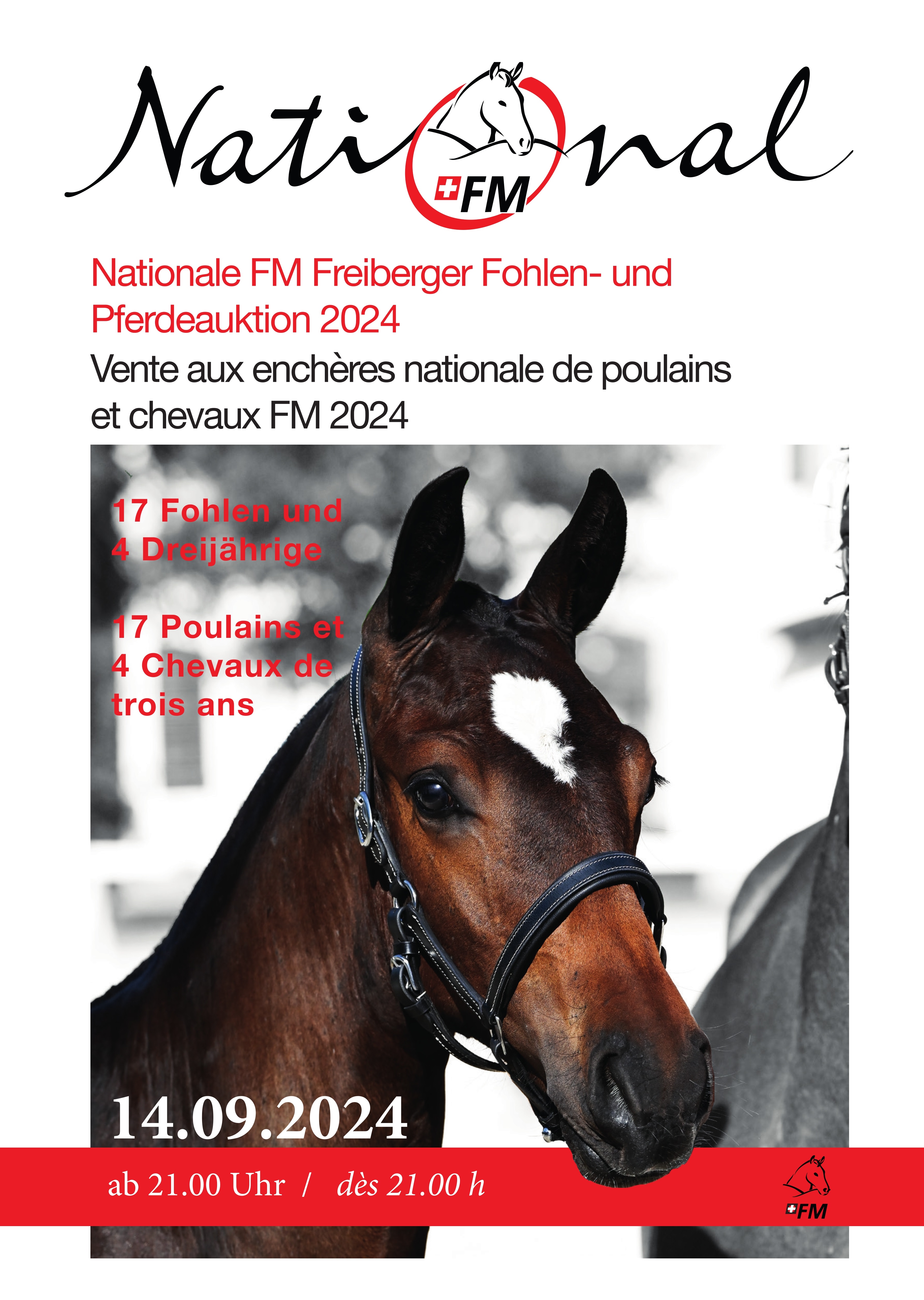 Vente aux enchères nationale de poulains et chevaux FM 2024